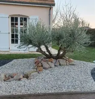 aménagement extérieur Trangé-2