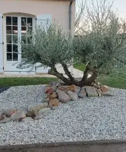 élagage La Bazoge-2