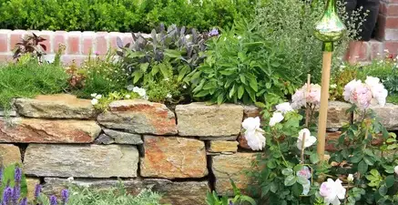 entretien de jardin Trangé-3