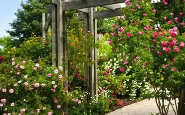 jardinier Le Mans-1